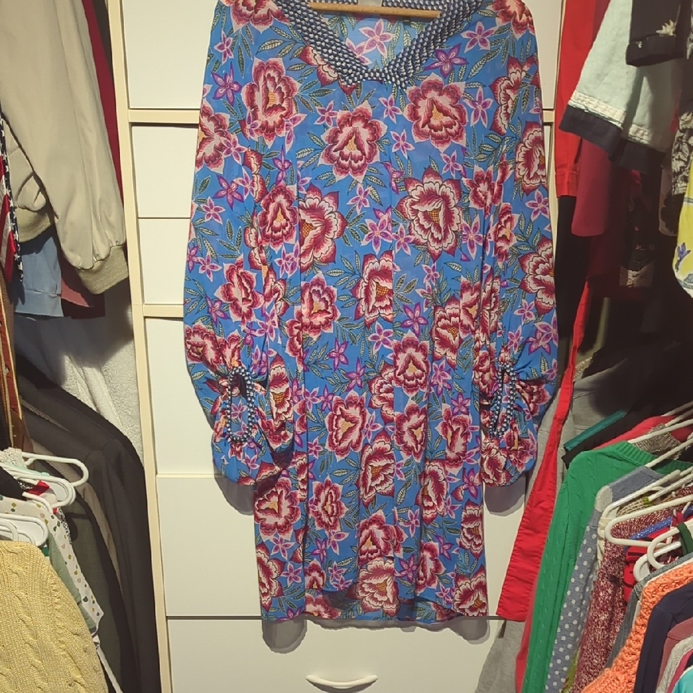 CAbi Relaxed Blue and Red Long Sleeve Tunic